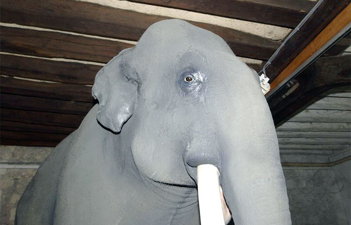 [Image: elephants-2.jpg]