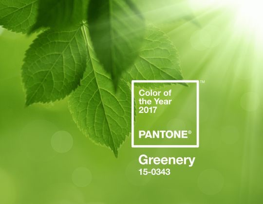 La couleur de l’année selon Pantone : le vert !