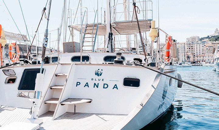 Rencontrer Blue Panda de WWF sur le Vieux-Port