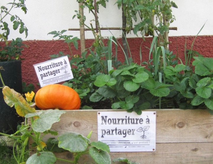 Les « Incroyables Comestibles », potagers en libre-service