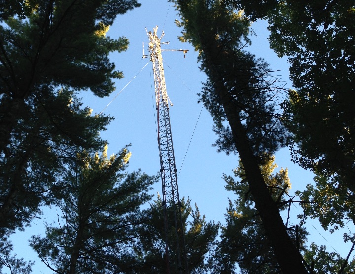 La forêt de Harvard : l’écologie de demain