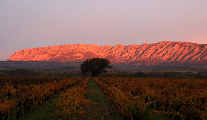 Jérôme Maillot, viticulteur nature et rêveur