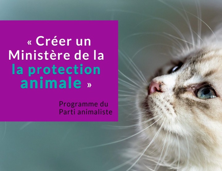 Un nouveau parti politique : le Parti animaliste !