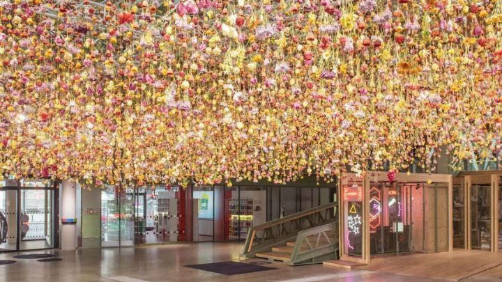 Il pleut des fleurs avec Rebecca Louise Law