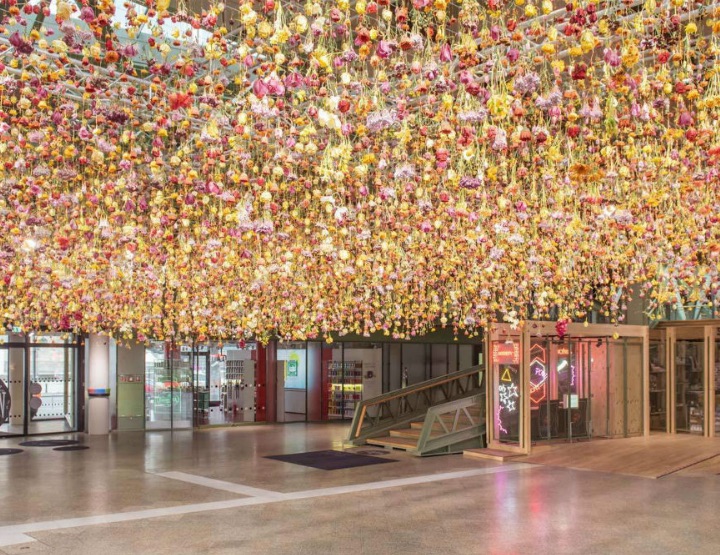 Il pleut des fleurs avec Rebecca Louise Law