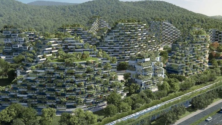 Une première ville-forêt en Chine !