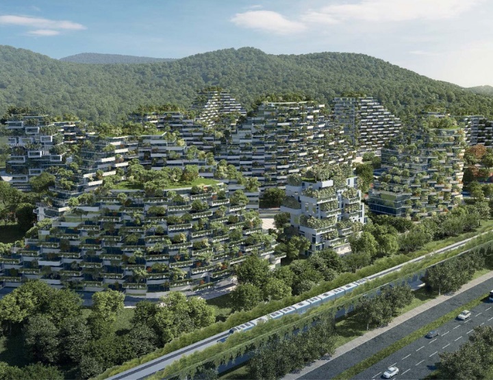 Une première ville-forêt en Chine !