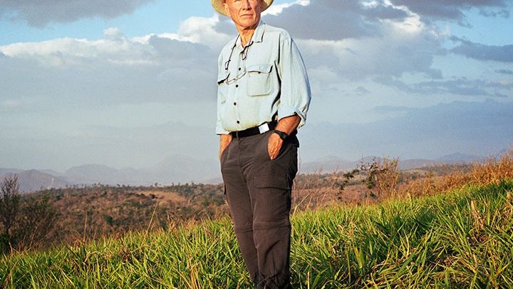 Sebastião Salgado replante les arbres au Brésil