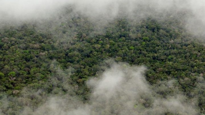 La forêt amazonienne déclenche sa propre pluie !