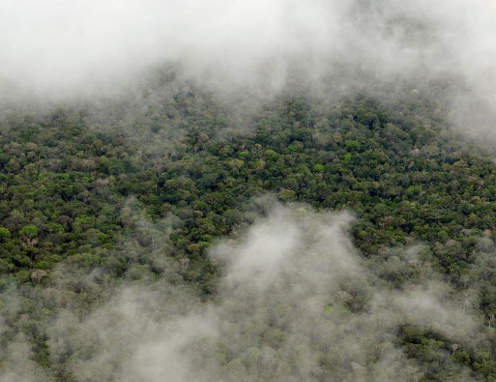 La forêt amazonienne déclenche sa propre pluie !