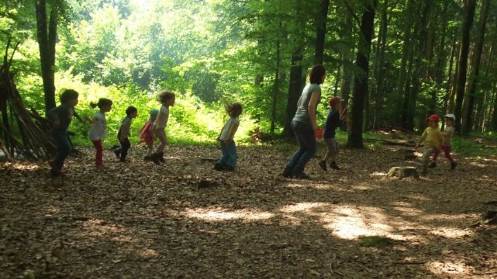 Une école de la nature en Nouvelle-Zélande