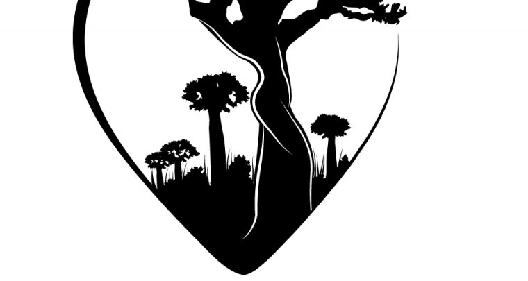 Les Joyaux de Madagascar