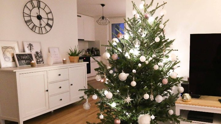 Ecosapin : pour un Noël joyeux et écolo