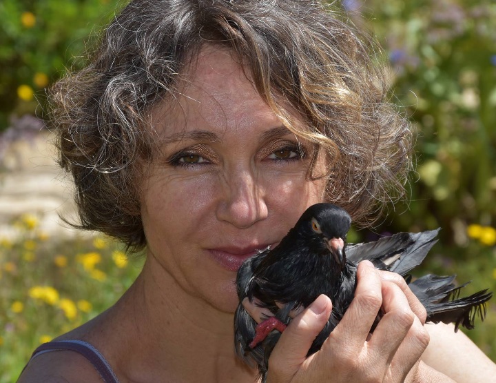 Le Jardin de Karine, un havre de paix pour les animaux