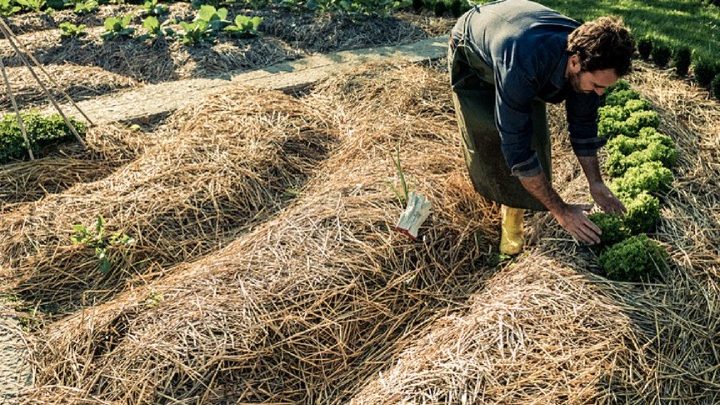 Langouët : le village d'Asterix version permaculture