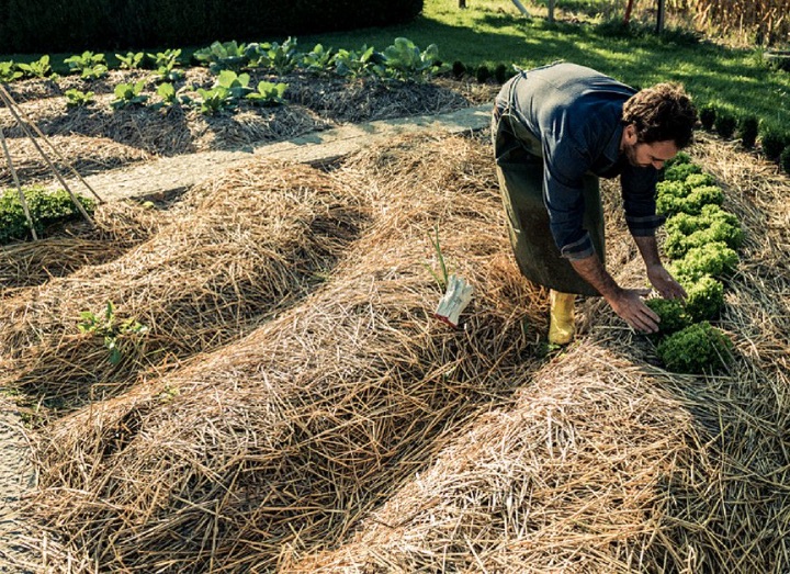 Langouët : le village d’Asterix version permaculture