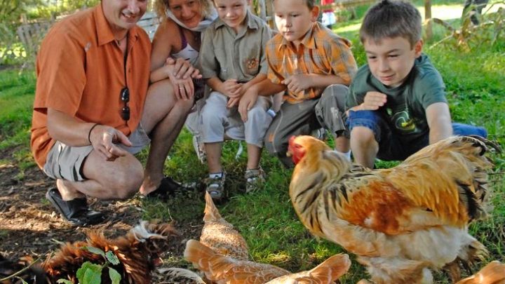 Accueil Paysan : partir en vacances à la ferme !