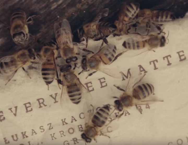 « Bee Saving Paper » pour aider les abeilles