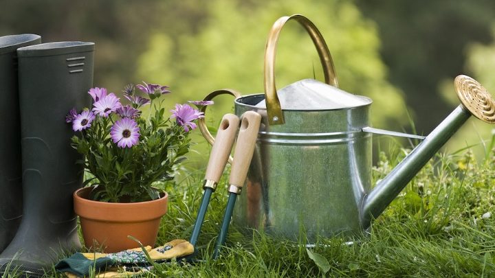 Prêter son jardin : la belle idée !