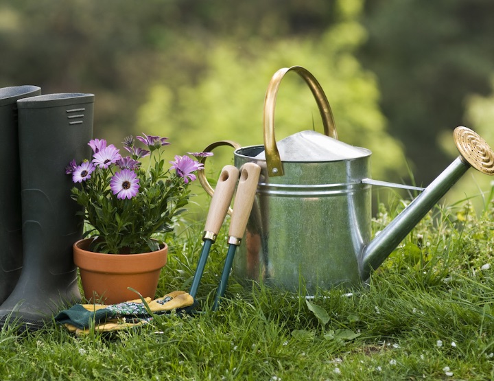 Prêter son jardin : la belle idée !