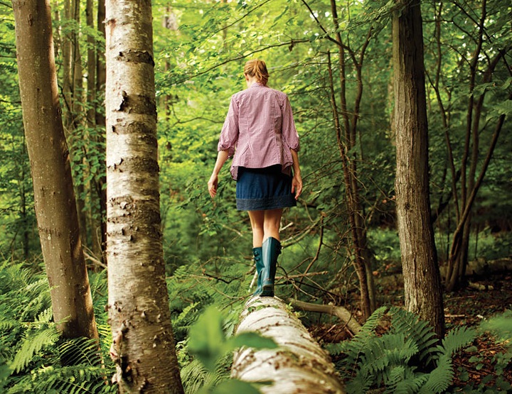 Les pouvoirs guérisseurs de la forêt