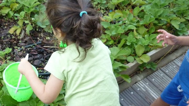 Ecolo Crèche fête ses 10 ans et devient Label Vie !