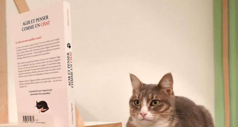 On ronronne de plaisir au Coin des chat'mis !