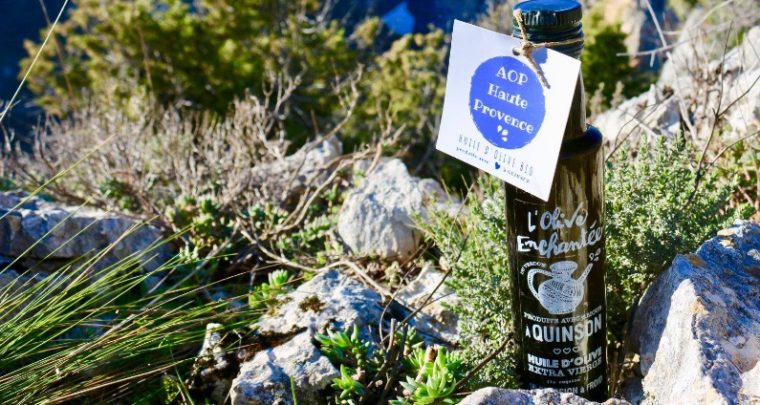 L'Olive enchantée du Verdon