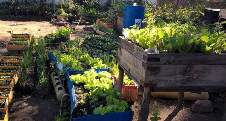 Jardin Savournin avec les Amis-culteurs