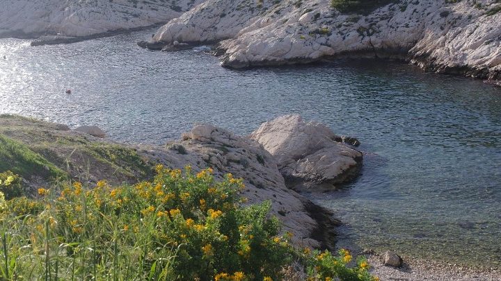 Le Frioul : belle île en ville