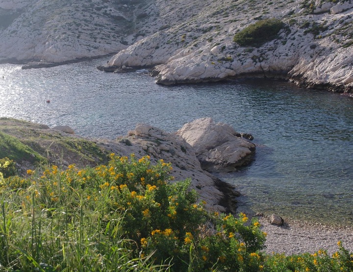 Le Frioul : belle île en ville