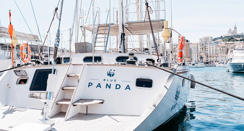 Rencontrer Blue Panda de WWF sur le Vieux-Port