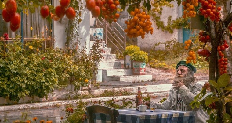 Et si on caressait un peu le potager ?