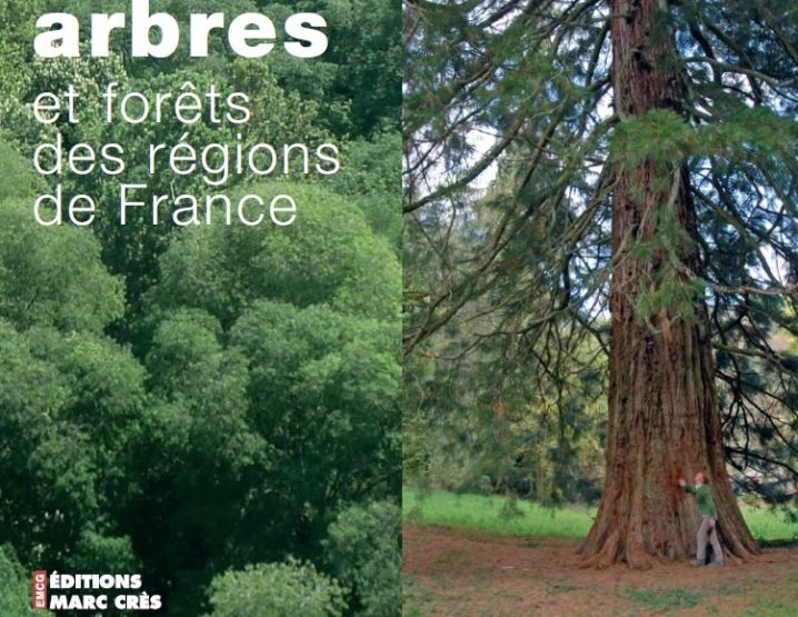 Arbres et forêts des régions de France