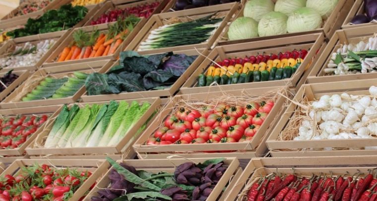 Cuisinez végétal tout l'été c'est l'idéal