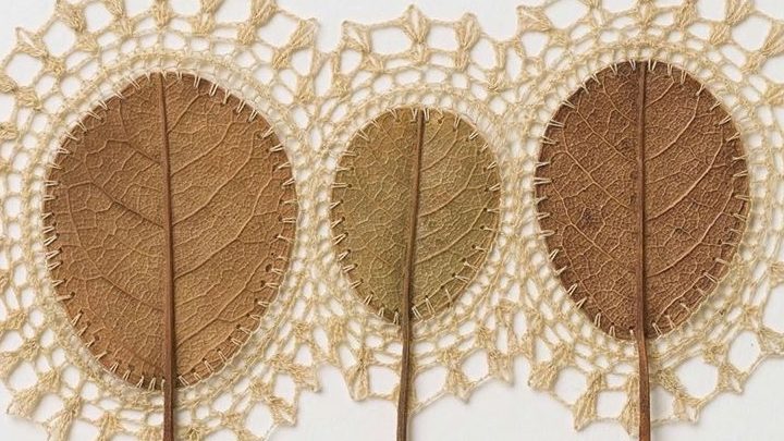 Susanna Bauer, artiste des feuilles