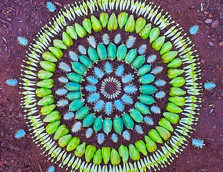 Les mandalas de fleurs