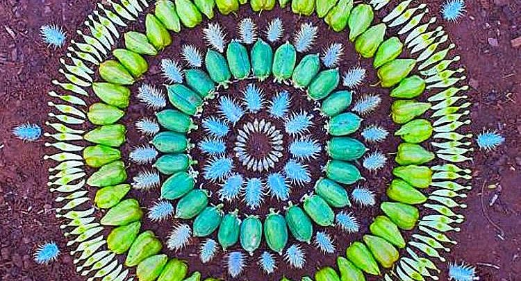 Les mandalas de fleurs