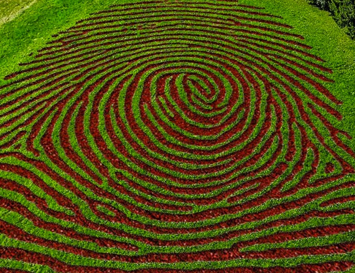 « Tout naturellement », l’expo Nature