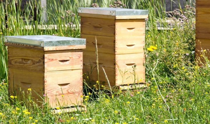 Fabriquer sa ruche avec Les Jardins des 2 Mains