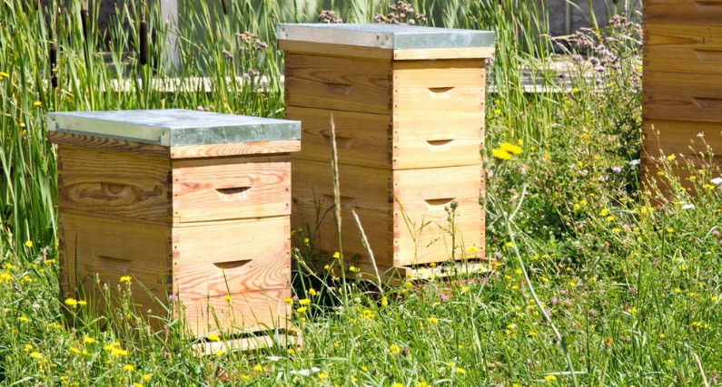 Fabriquer sa ruche avec Les Jardins des 2 Mains