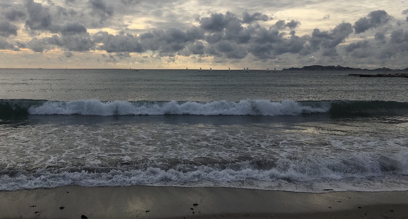 Nettoyer les plages avec Greenpeace Marseille