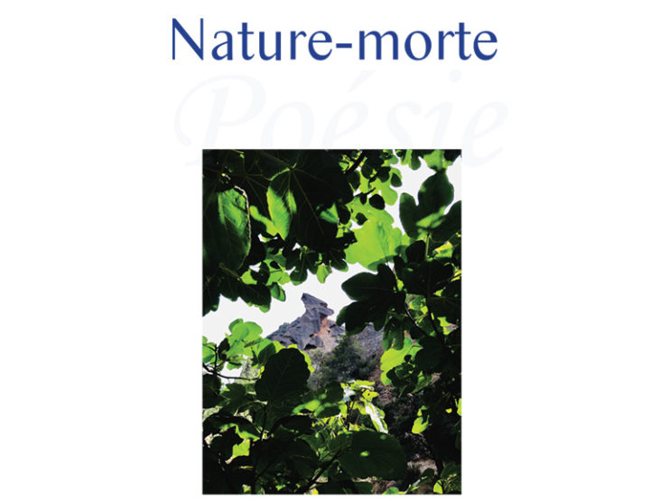 Nature-morte