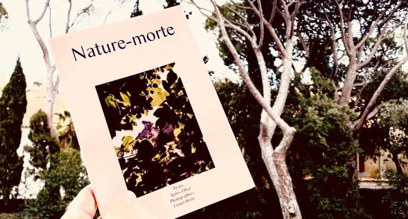 S’évader avec le recueil de poésie  « Nature-morte »