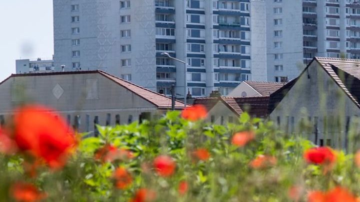 Zone sensible, ferme urbaine qui fait sens