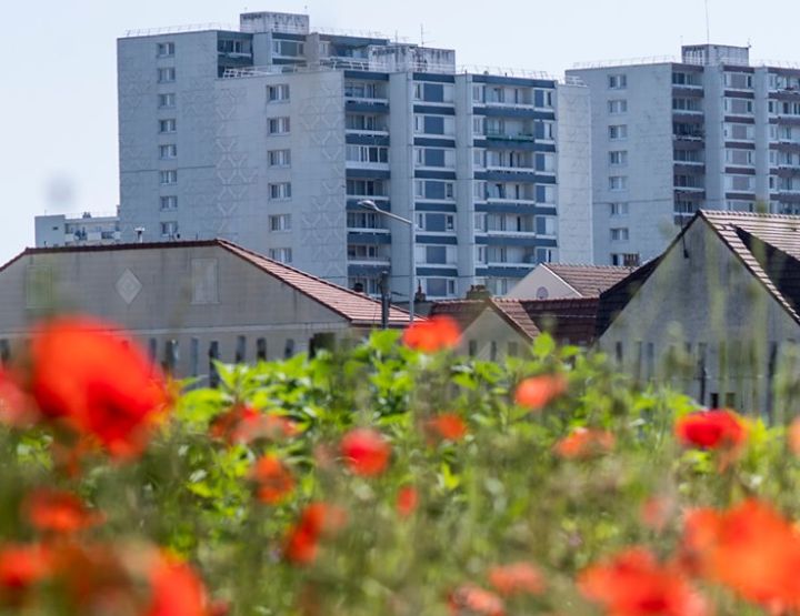 Zone sensible, ferme urbaine qui fait sens