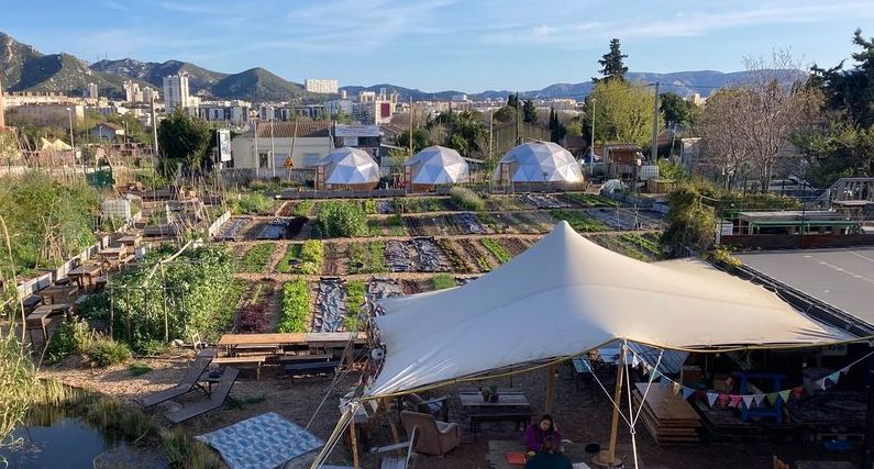 Cuisiner les plantes sauvages au Talus