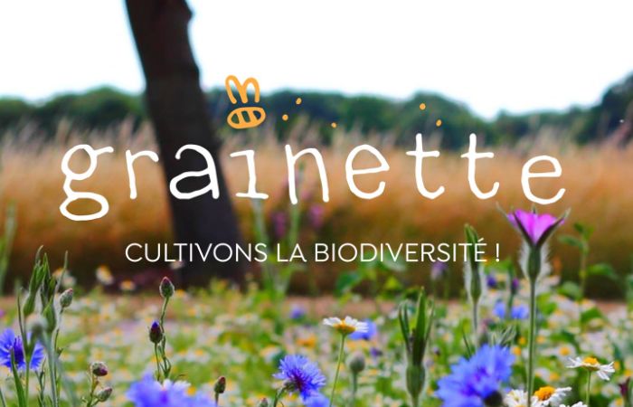 Grainette