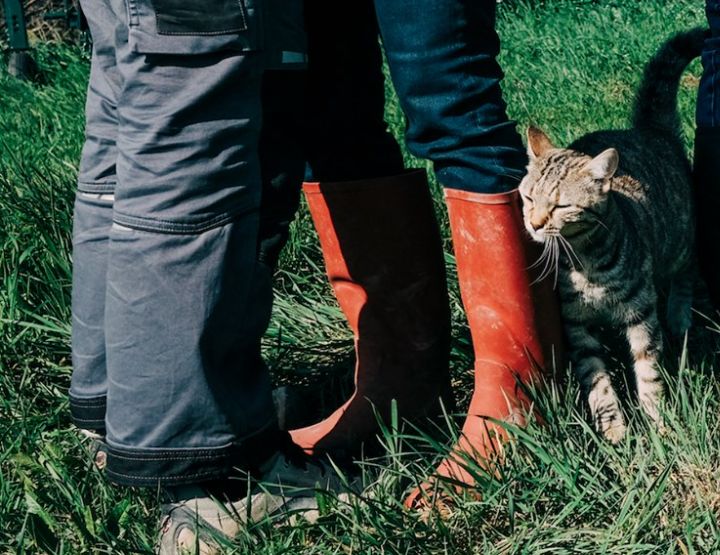 Terre de liens : sans paysans, on fait comment ?