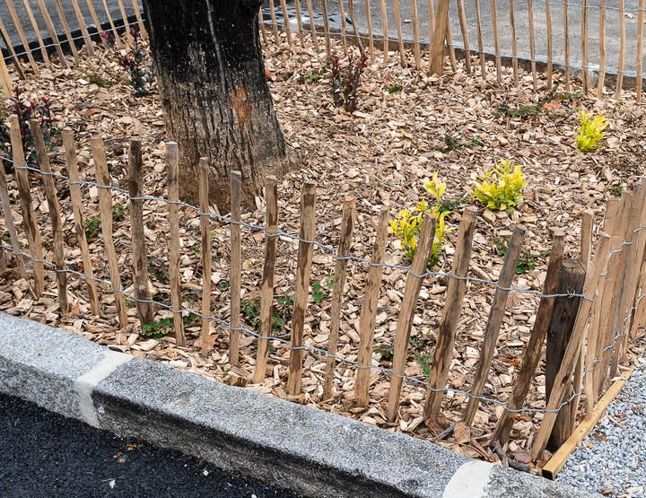 Des arbres de pluie à Lyon